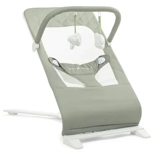 Portable Baby Bouncer