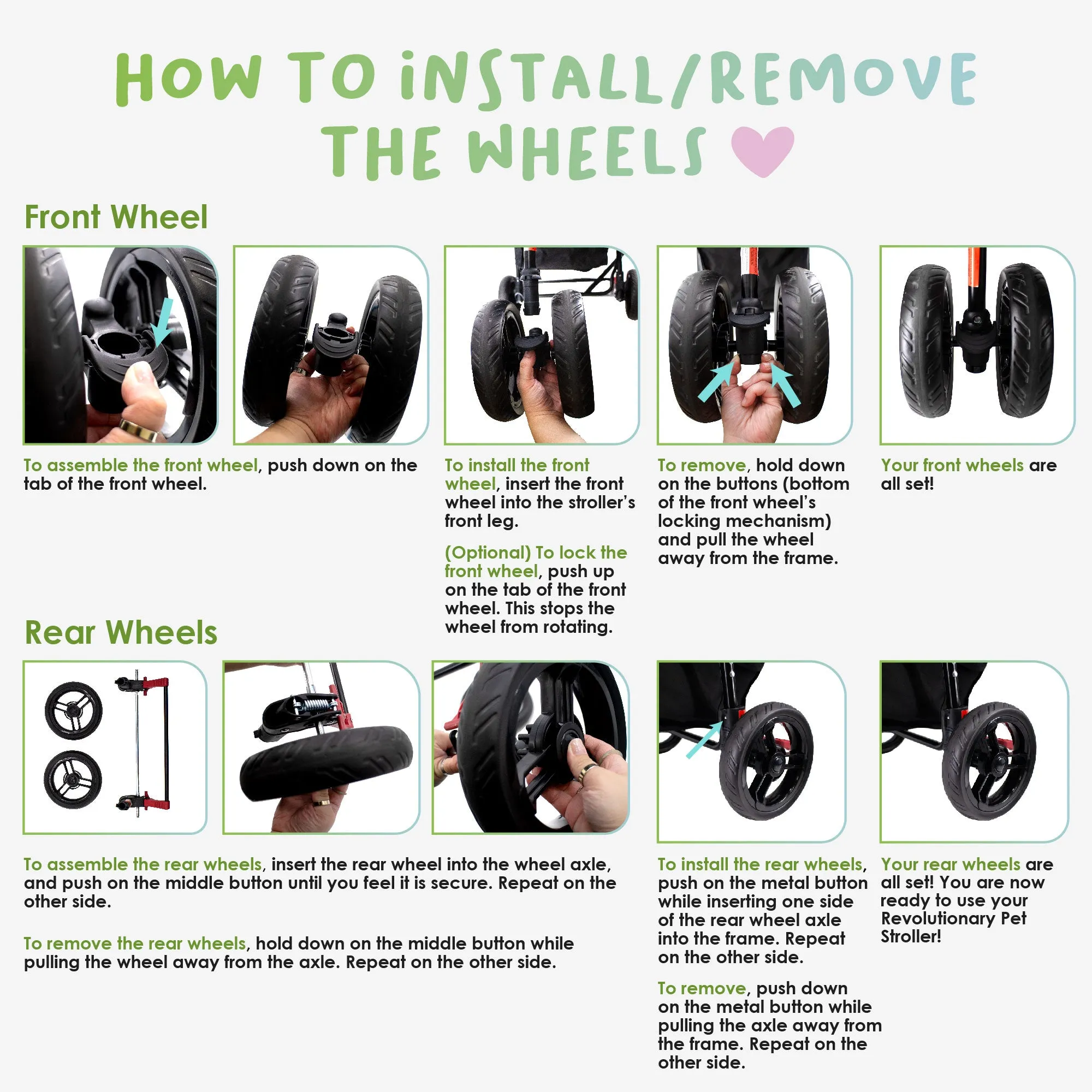 Revolutionary Pet Travel Bundle