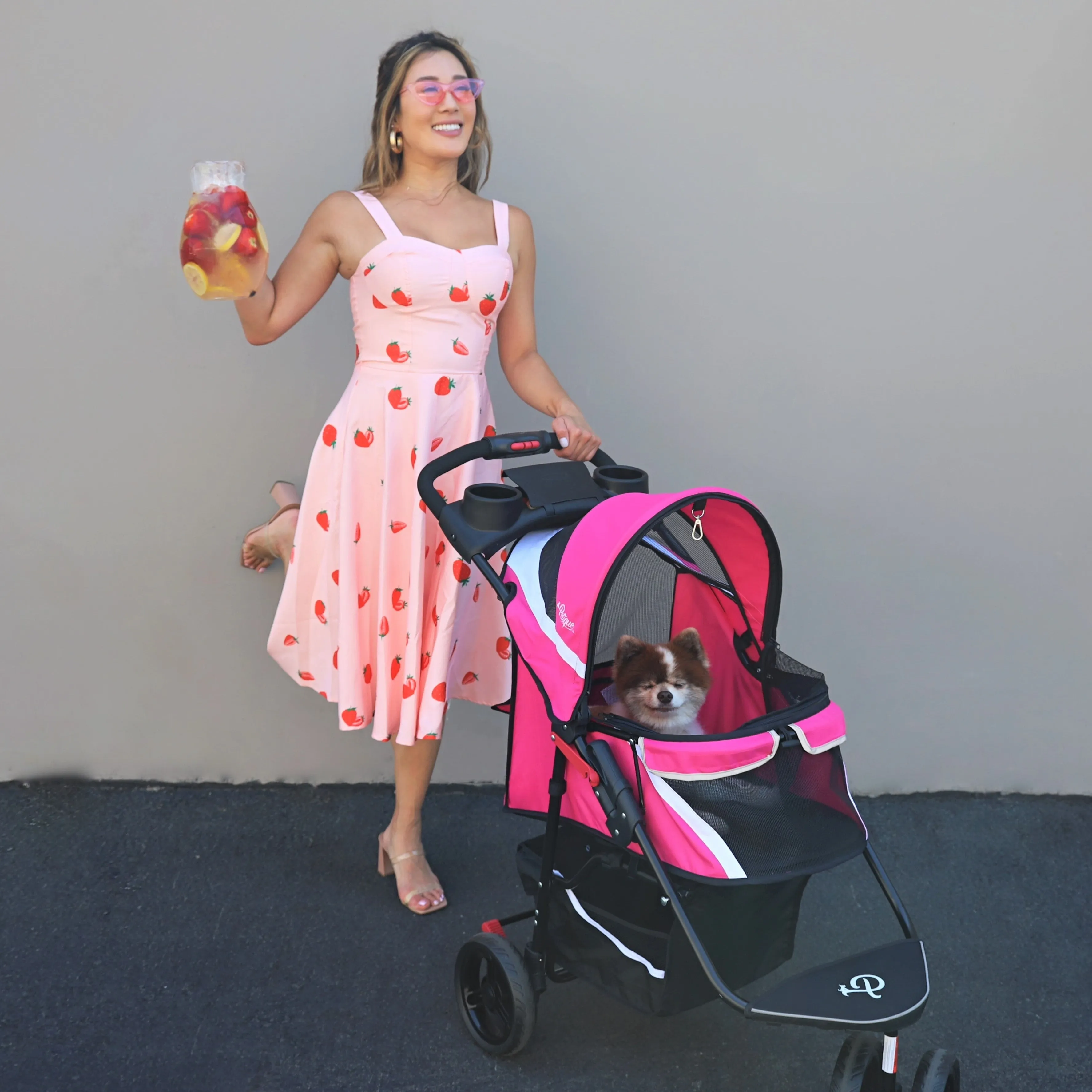 Revolutionary Pet Travel Bundle