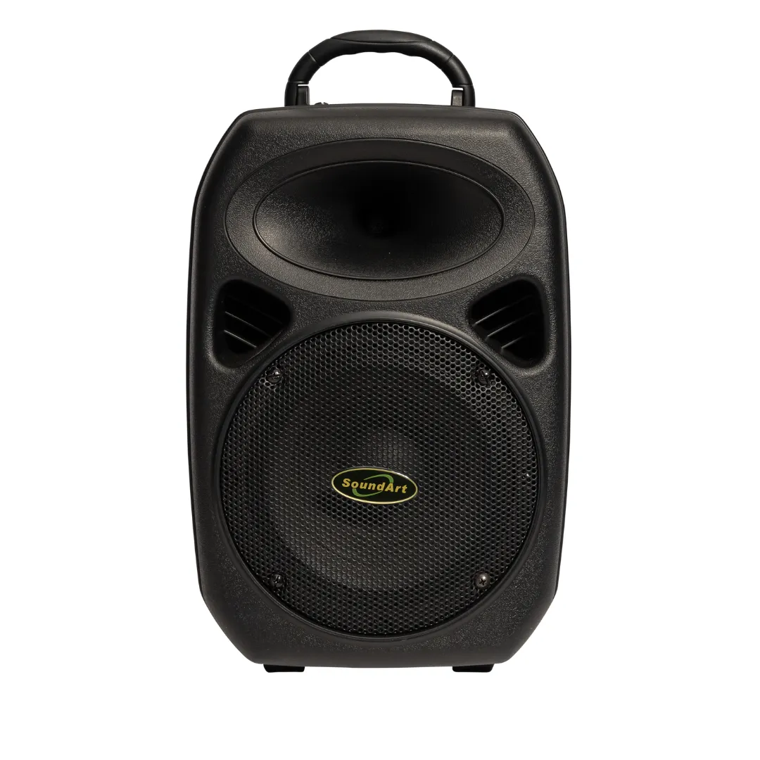 SoundArt 30 Watt Ultra Compact Multi-Purpose Amplifier with Bluetooth