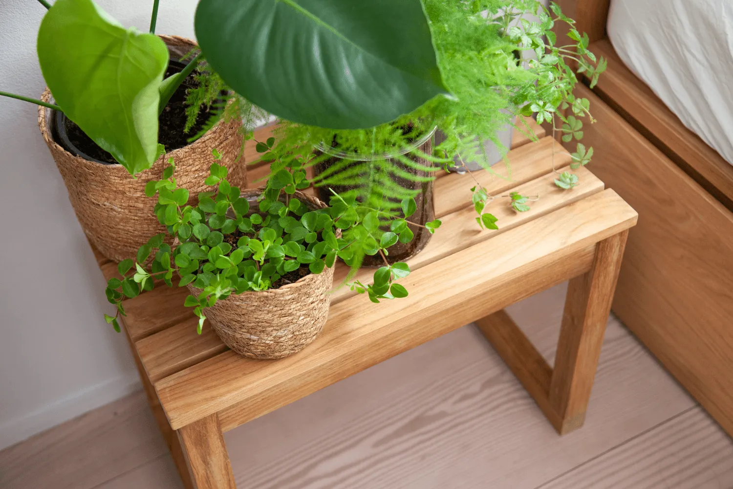 Vega stool